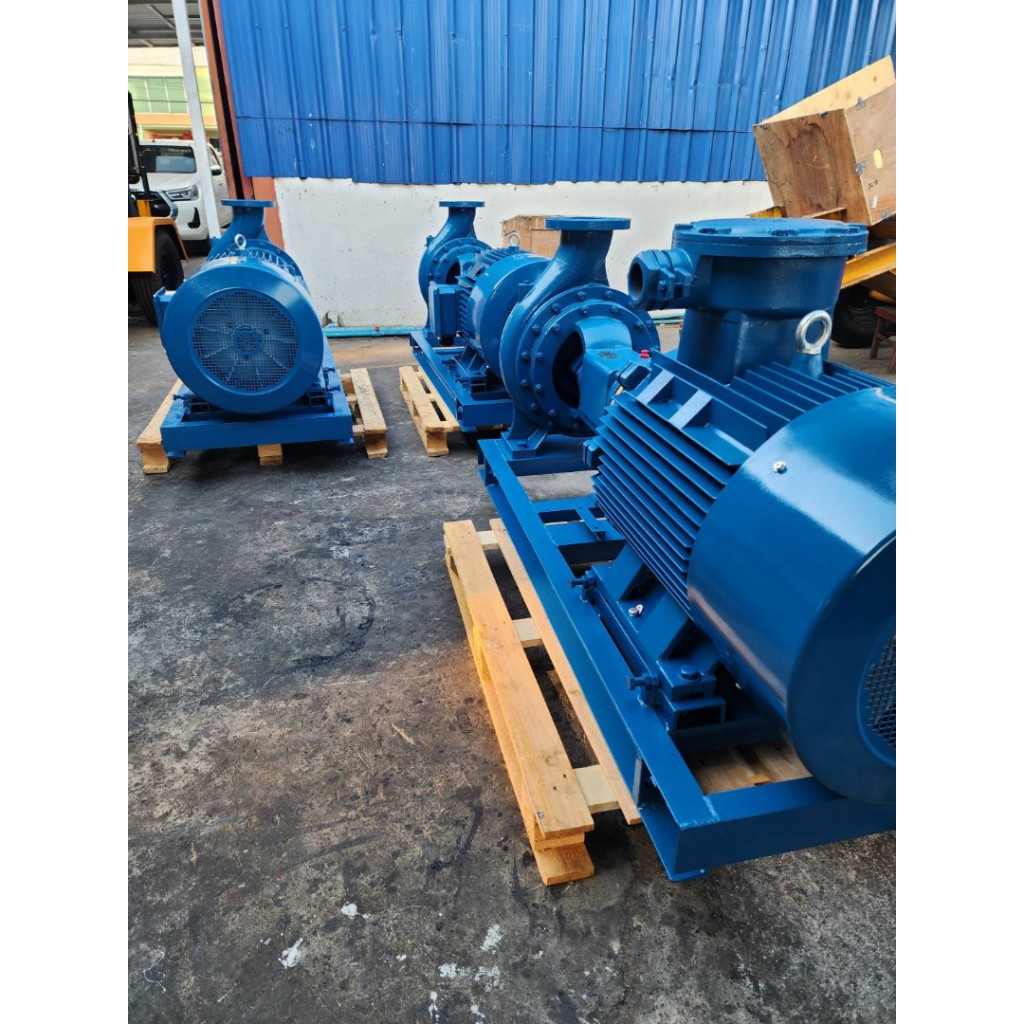 ปั๊มหอยโข่ง 10*8 นิ้ว End Suction pump