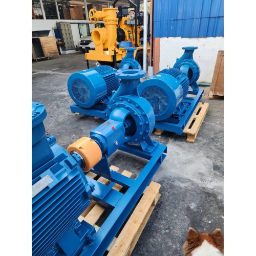 ปั๊มหอยโข่ง 10*8 นิ้ว End Suction pump